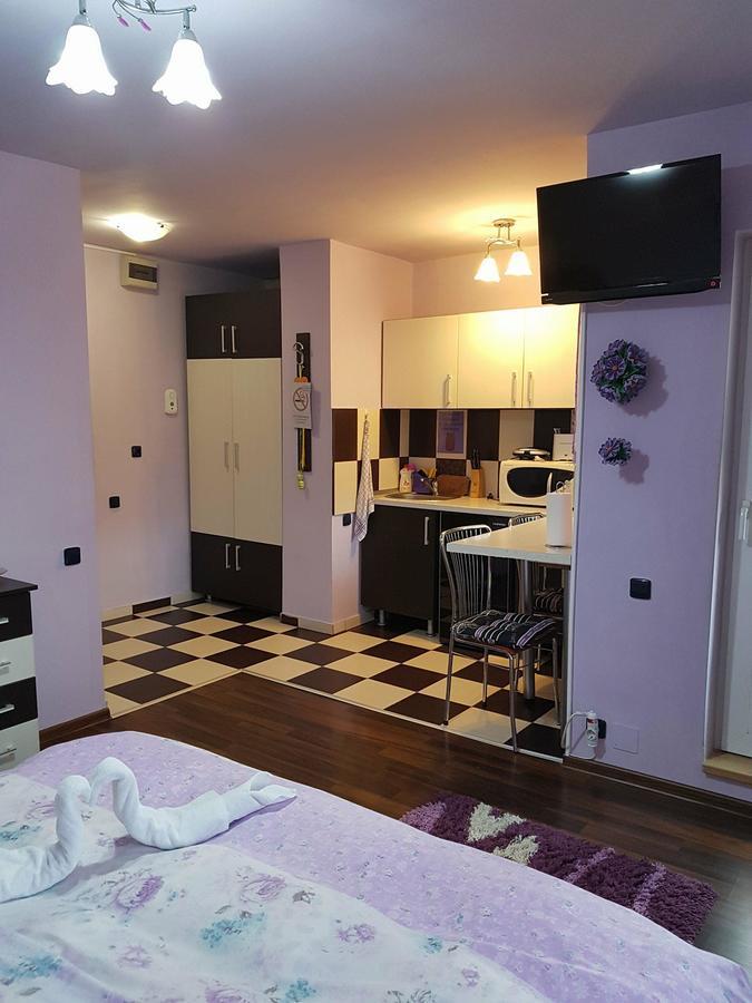 Garsoniera Cristina Apartment ไบเลเฟลิกซ์ ภายนอก รูปภาพ