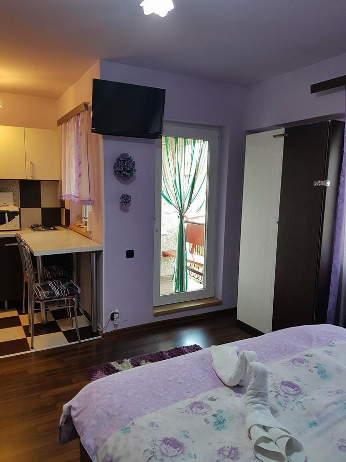 Garsoniera Cristina Apartment ไบเลเฟลิกซ์ ภายนอก รูปภาพ