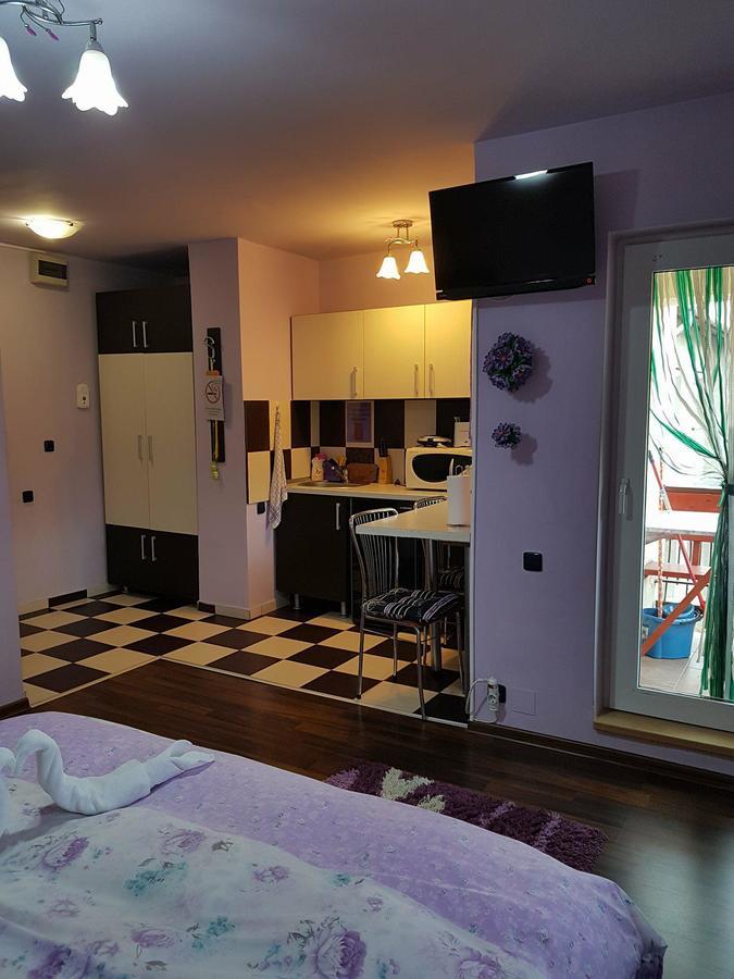 Garsoniera Cristina Apartment ไบเลเฟลิกซ์ ภายนอก รูปภาพ