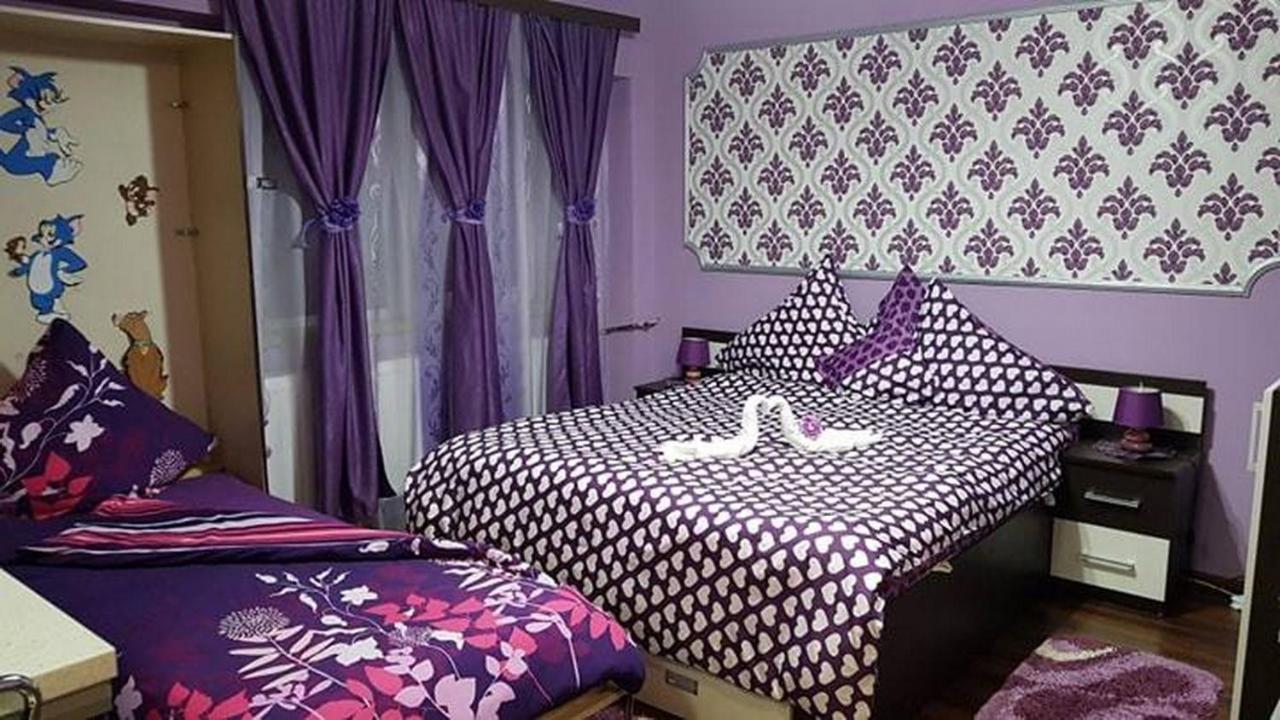 Garsoniera Cristina Apartment ไบเลเฟลิกซ์ ภายนอก รูปภาพ